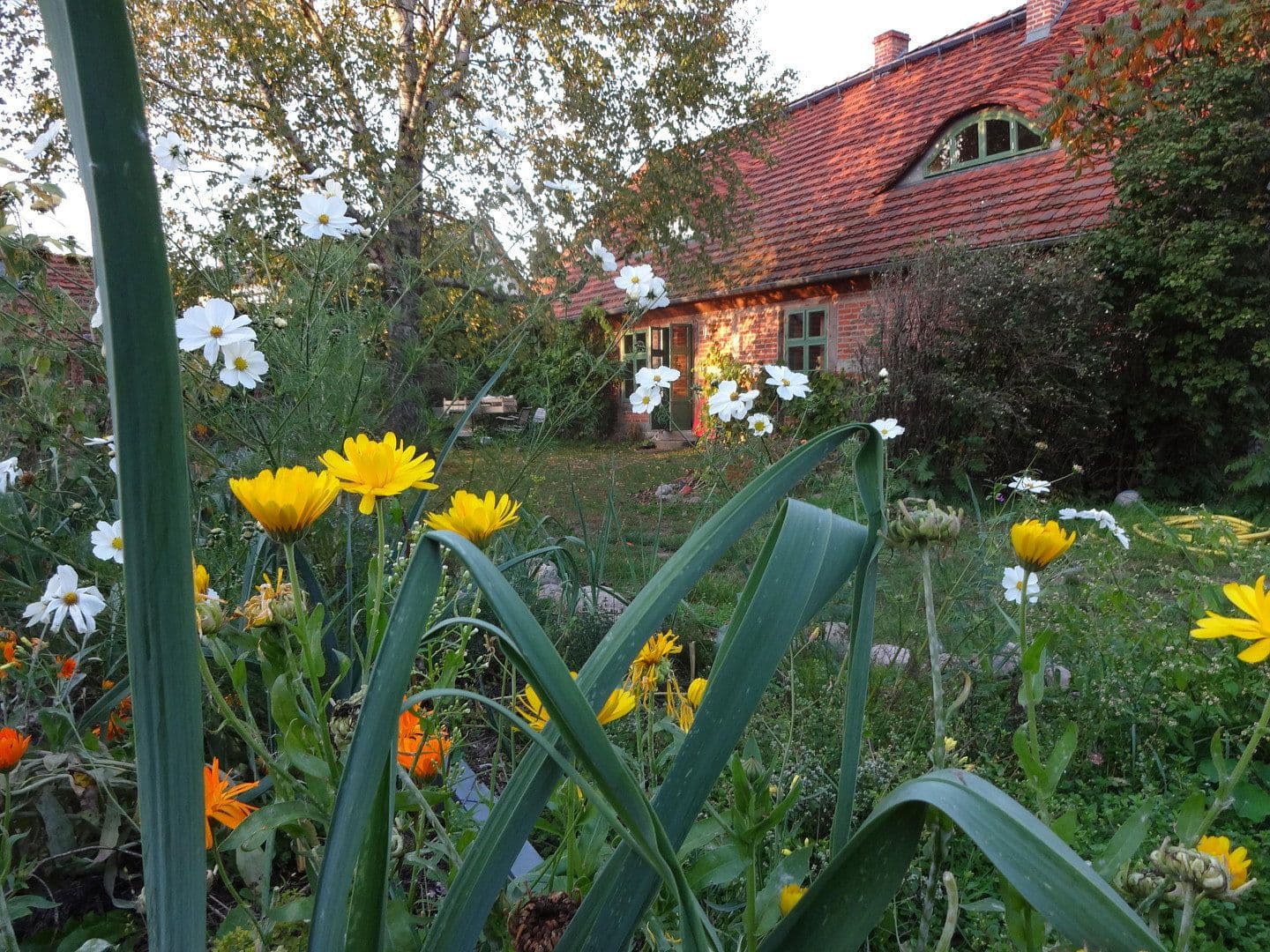 house for sale, 380 m², Wietzow, Daberkow, Mecklenburg-Vorpommern house for sale, 380 m², Wietzow, Daberkow, Mecklenburg-Vorpommern