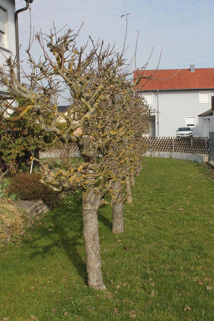 house for sale, 223 m², Wilburgstetten, Bavaria house for sale, 223 m², Wilburgstetten, Bavaria