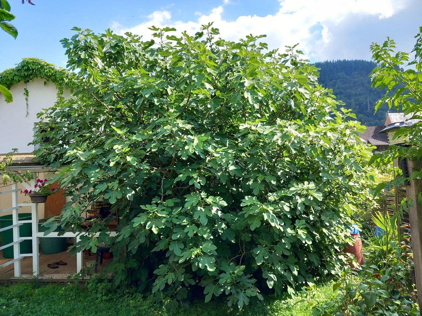 house for sale, 255 m², Traben-Trarbach, Rhineland-Palatinate house for sale, 255 m², Traben-Trarbach, Rhineland-Palatinate