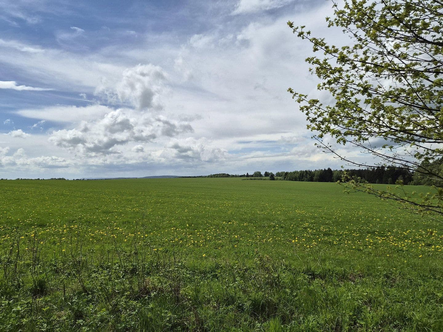 plot for sale, 7,395,669 m², Marktredwitz, Bavaria plot for sale, 7,395,669 m², Marktredwitz, Bavaria