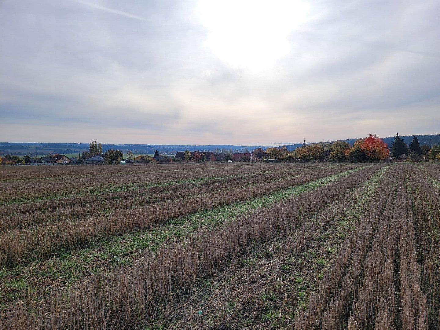 plot for sale, 7,395,669 m², Marktredwitz, Bavaria plot for sale, 7,395,669 m², Marktredwitz, Bavaria