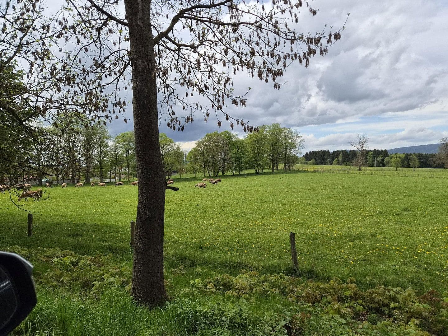 plot for sale, 7,395,669 m², Marktredwitz, Bavaria plot for sale, 7,395,669 m², Marktredwitz, Bavaria