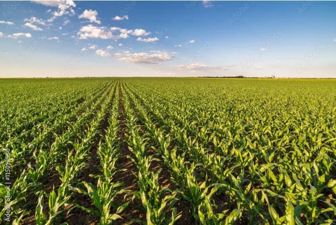 plot for sale, 7,395,669 m², Marktredwitz, Bavaria plot for sale, 7,395,669 m², Marktredwitz, Bavaria