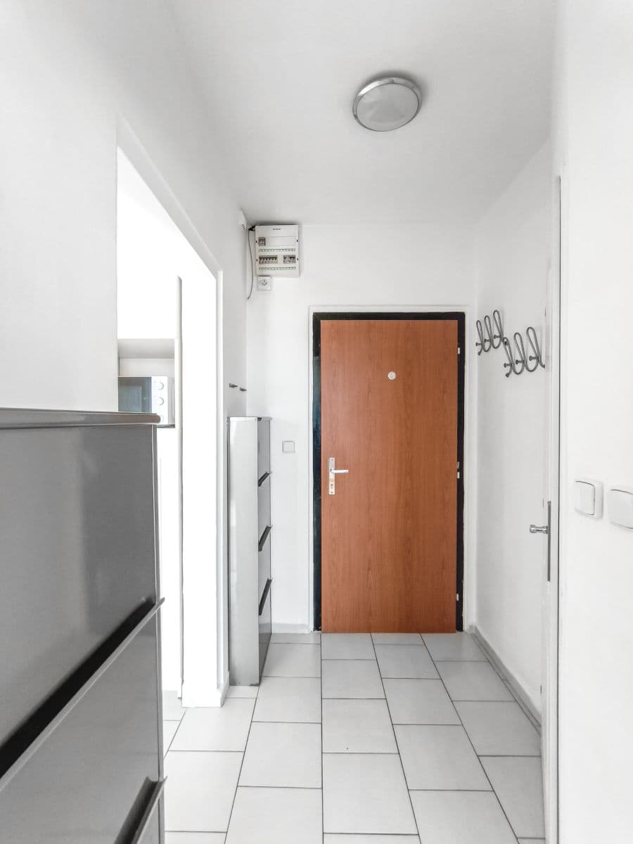 1 bedroom with open-plan kitchen flat to rent, 40 m², Štúrova, Prague, Prague 1 bedroom with open-plan kitchen flat to rent, 40 m², Štúrova, Prague, Prague
