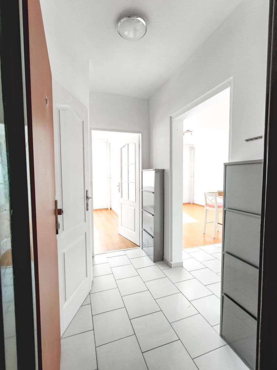 1 bedroom with open-plan kitchen flat to rent, 40 m², Štúrova, Prague, Prague 1 bedroom with open-plan kitchen flat to rent, 40 m², Štúrova, Prague, Prague