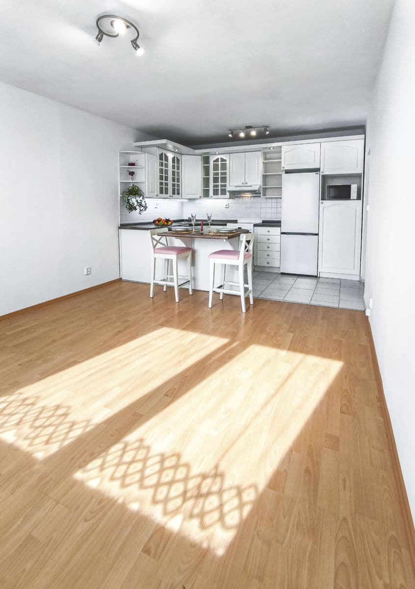 1 bedroom with open-plan kitchen flat to rent, 40 m², Štúrova, Prague, Prague 1 bedroom with open-plan kitchen flat to rent, 40 m², Štúrova, Prague, Prague