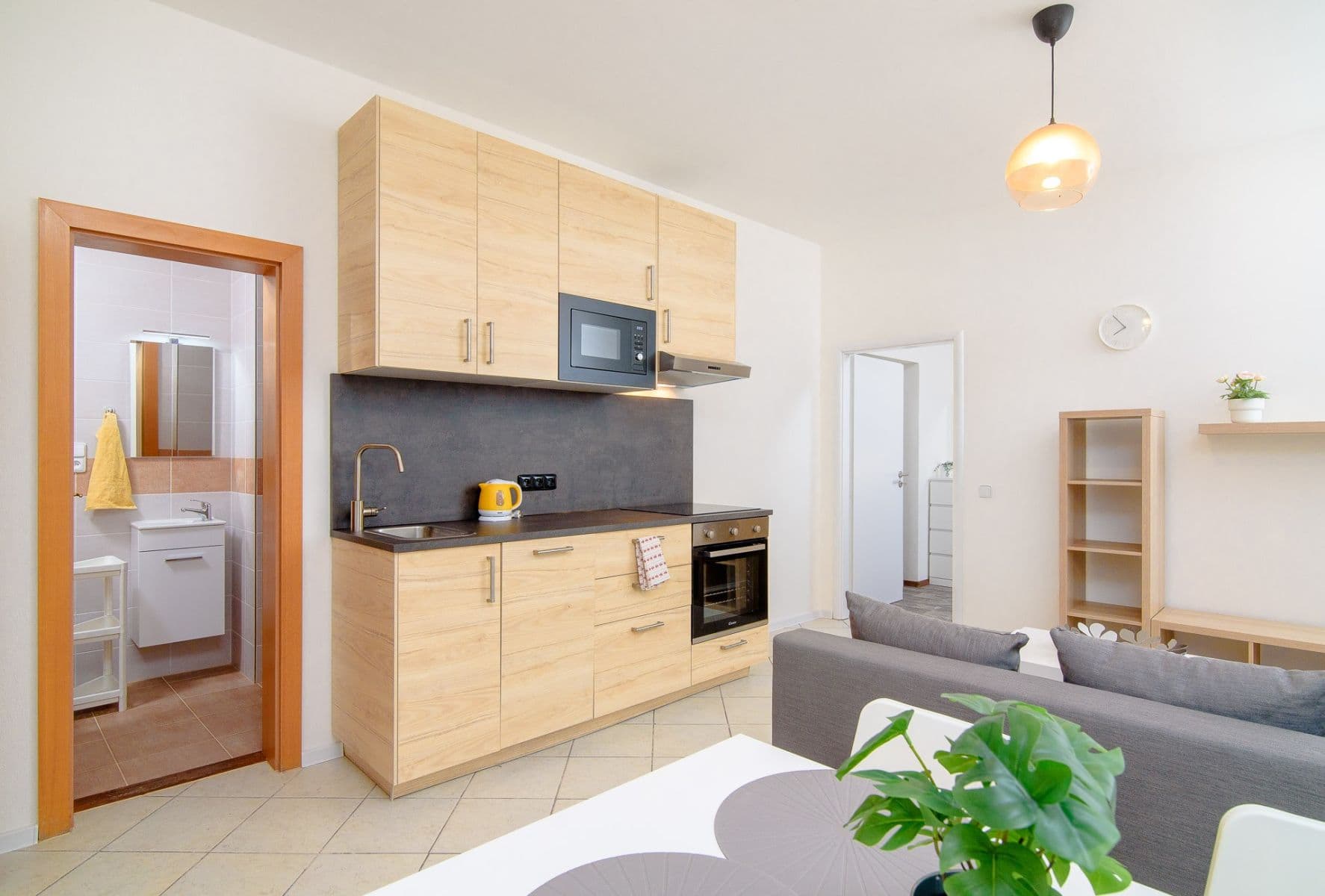 1 bedroom with open-plan kitchen flat to rent, 50 m², Sokolovská, Prague, Prague 1 bedroom with open-plan kitchen flat to rent, 50 m², Sokolovská, Prague, Prague