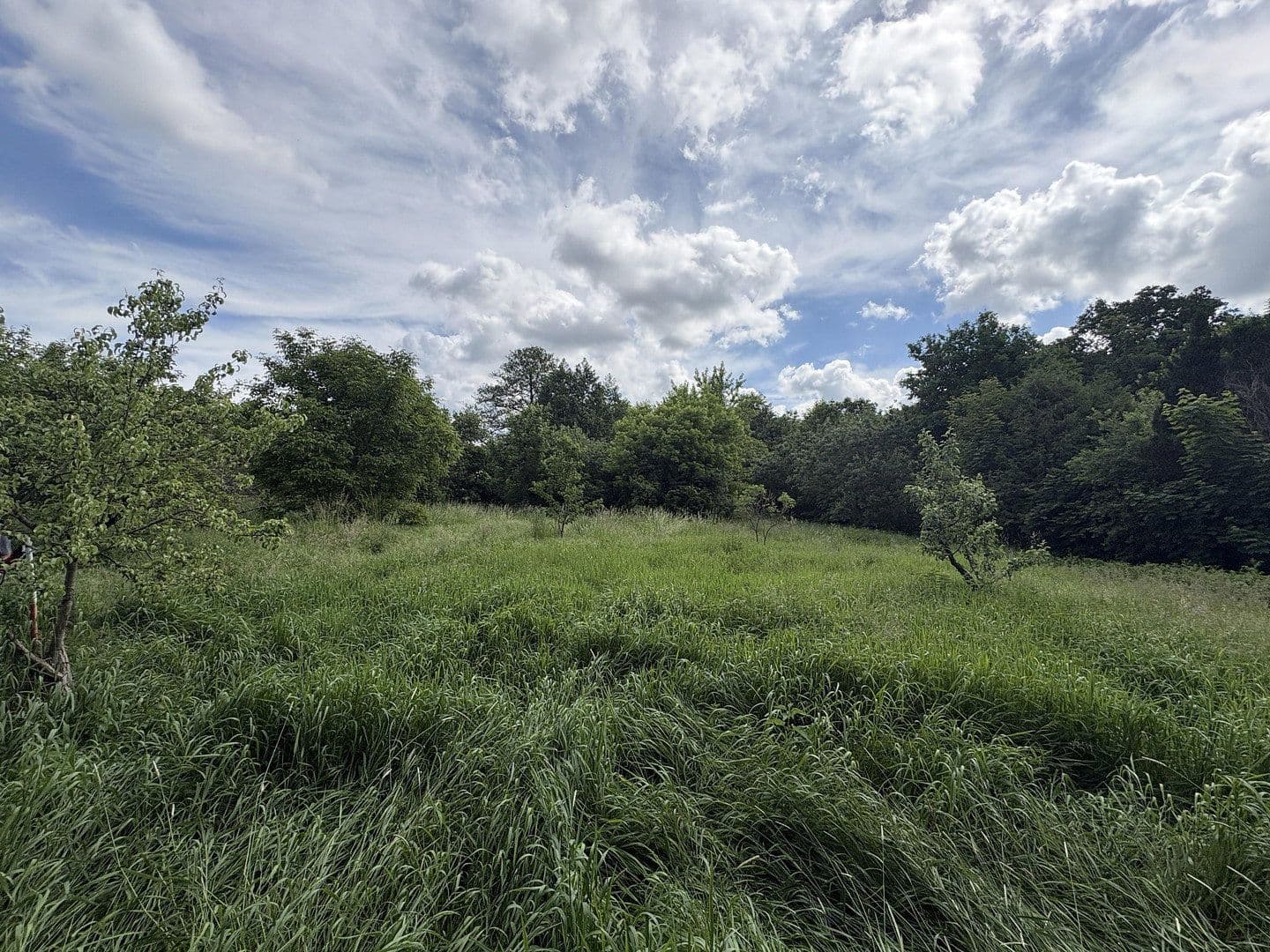 plot for sale, 4,340 m², Biesenthal, Brandenburg plot for sale, 4,340 m², Biesenthal, Brandenburg