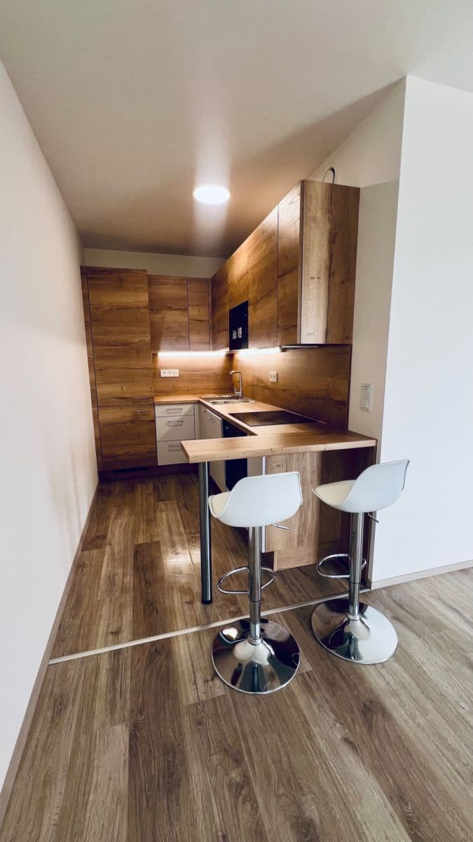 1 bedroom with open-plan kitchen flat to rent, 46 m², Arnošta Staňka, Prague, Prague 1 bedroom with open-plan kitchen flat to rent, 46 m², Arnošta Staňka, Prague, Prague