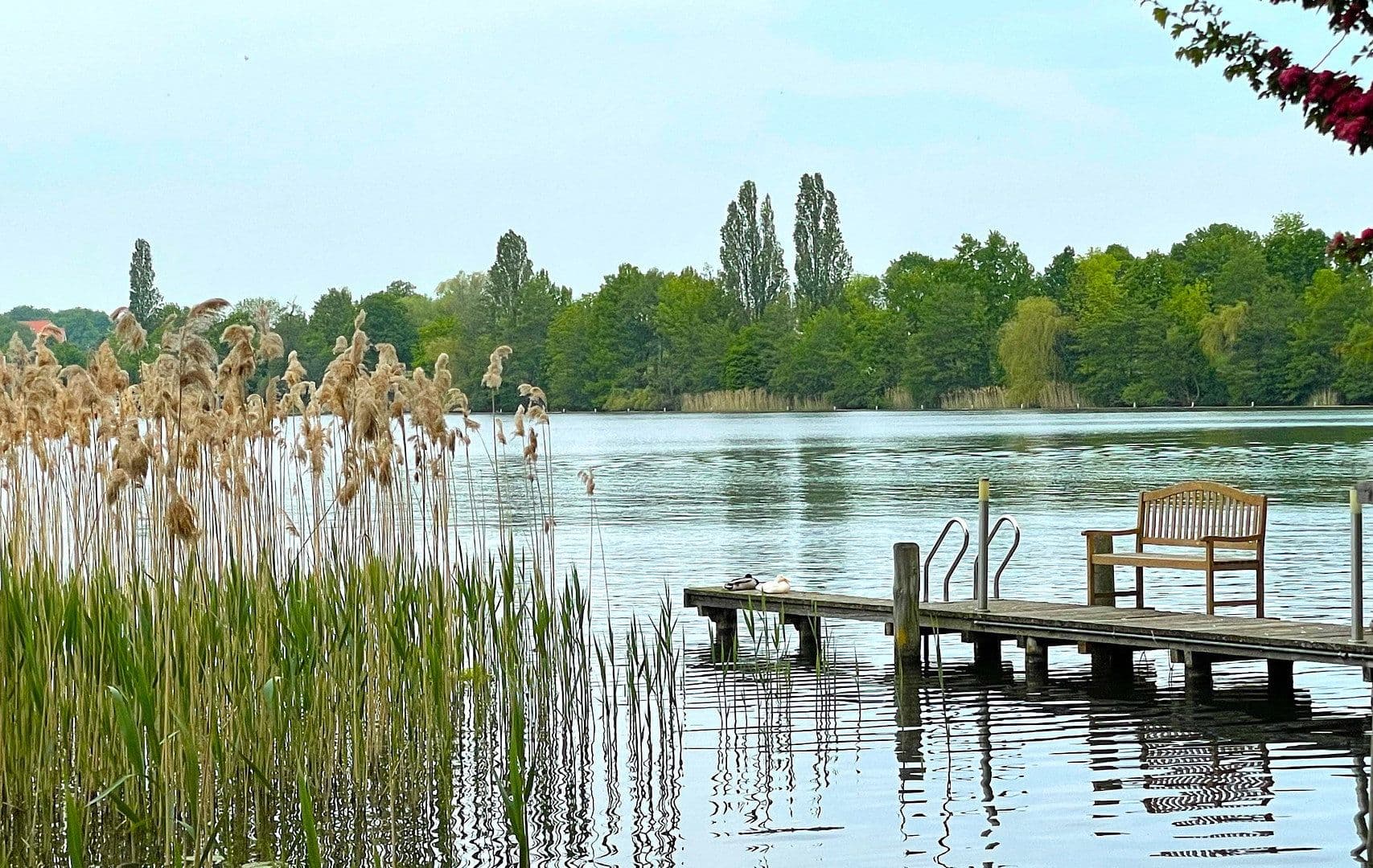 2 bedroom flat for sale, 65 m², Neuruppin, Brandenburg 2 bedroom flat for sale, 65 m², Neuruppin, Brandenburg