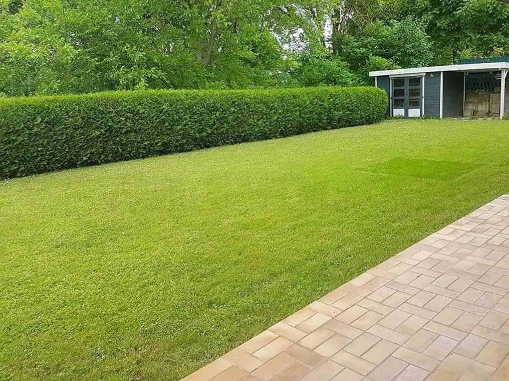 3 bedroom flat to rent, 125 m², Sinsheim, Baden-Württemberg 3 bedroom flat to rent, 125 m², Sinsheim, Baden-Württemberg