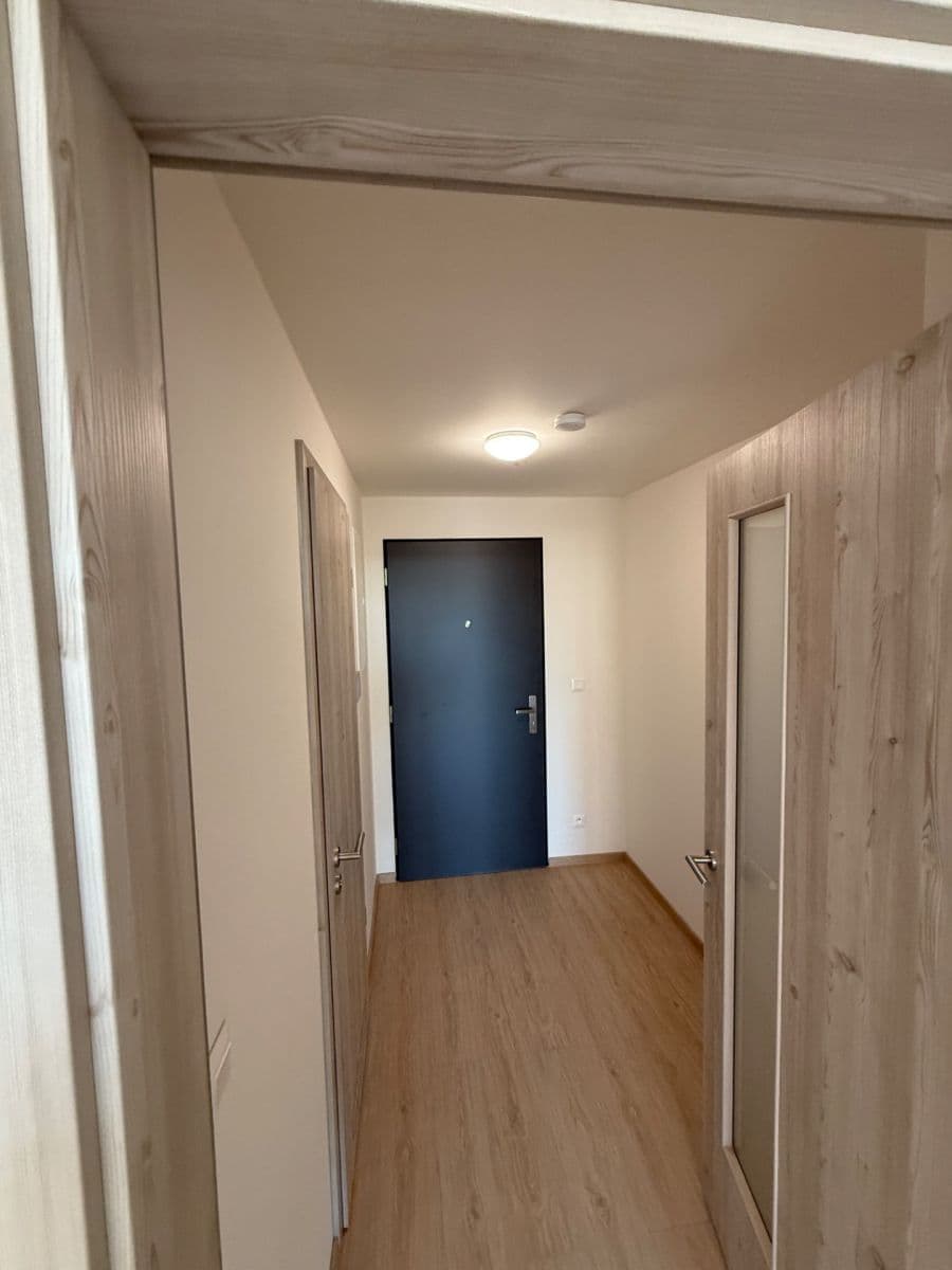 Studio flat to rent, 32 m², Haenkeho, Prague, Prague Studio flat to rent, 32 m², Haenkeho, Prague, Prague