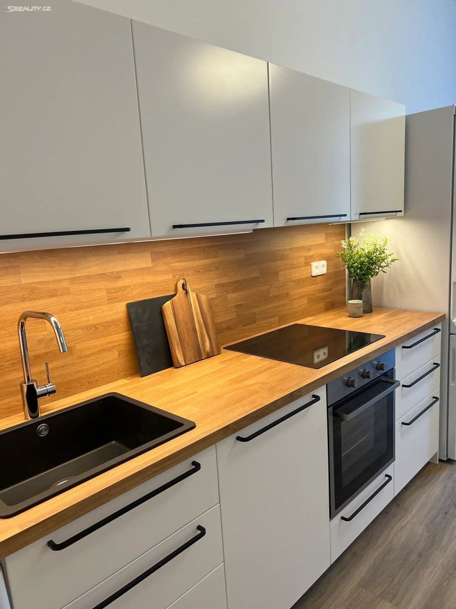 2 bedroom with open-plan kitchen flat to rent, 78 m², Sládkova, Prague, Prague 2 bedroom with open-plan kitchen flat to rent, 78 m², Sládkova, Prague, Prague