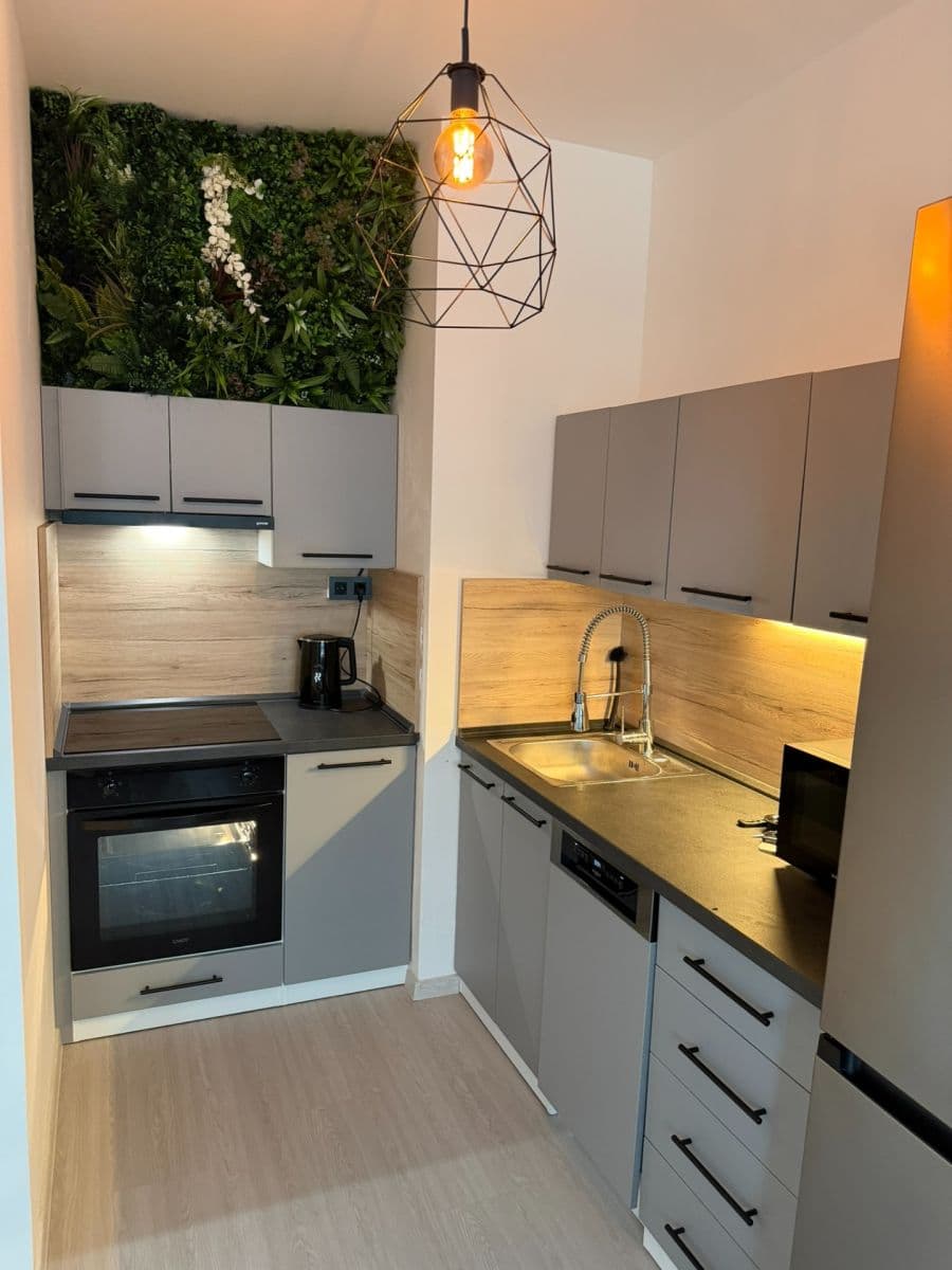 1 bedroom with open-plan kitchen flat to rent, 42 m², Thomasova, Prague, Prague 1 bedroom with open-plan kitchen flat to rent, 42 m², Thomasova, Prague, Prague