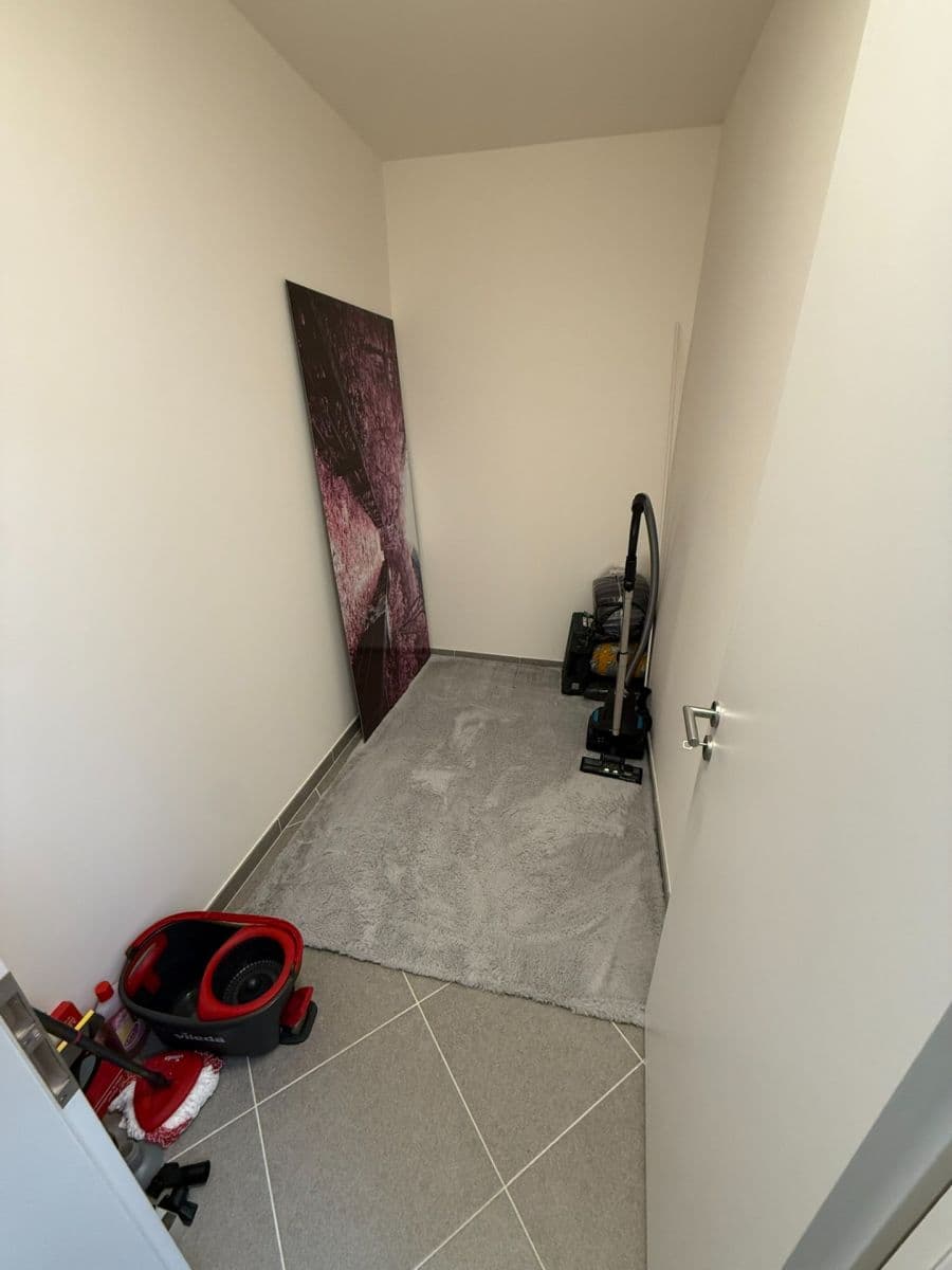 1 bedroom with open-plan kitchen flat to rent, 42 m², Thomasova, Prague, Prague 1 bedroom with open-plan kitchen flat to rent, 42 m², Thomasova, Prague, Prague