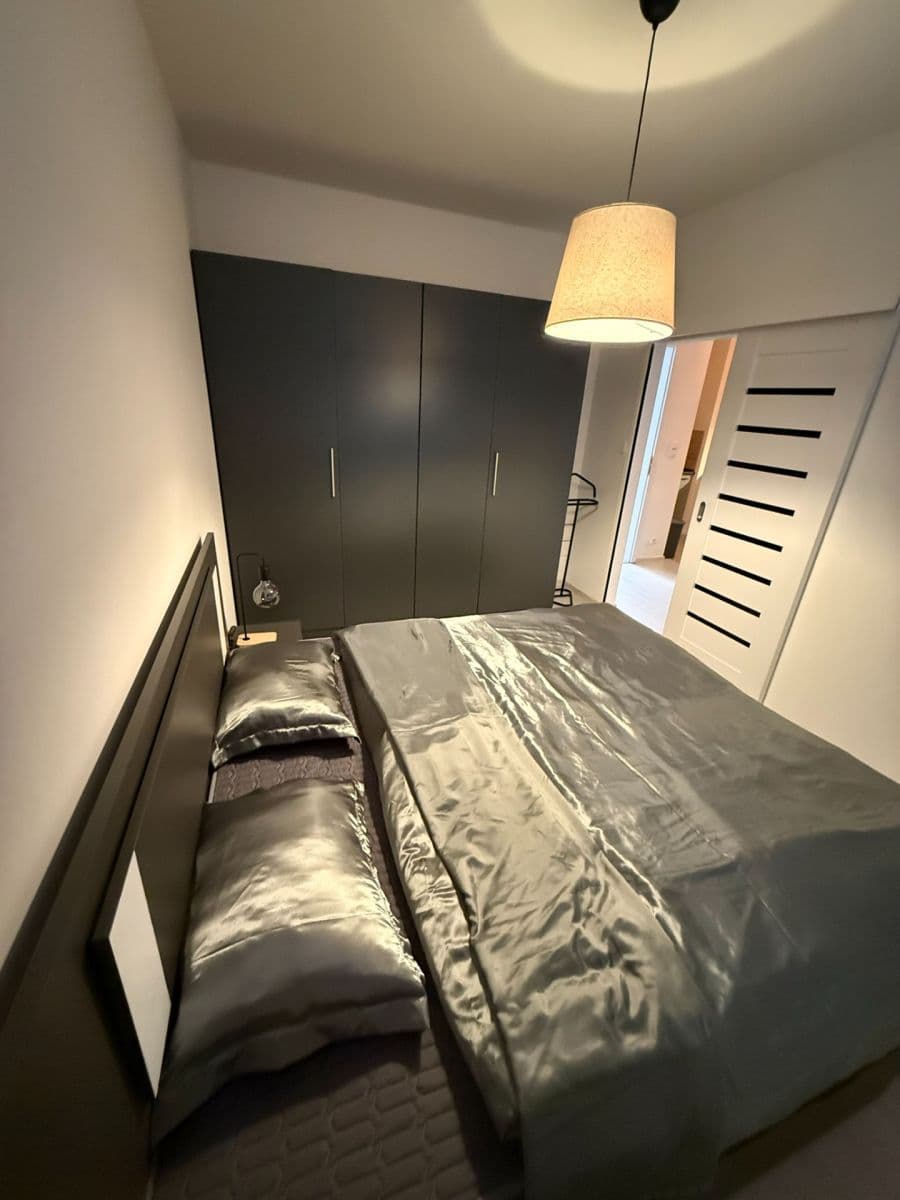 1 bedroom with open-plan kitchen flat to rent, 42 m², Thomasova, Prague, Prague 1 bedroom with open-plan kitchen flat to rent, 42 m², Thomasova, Prague, Prague