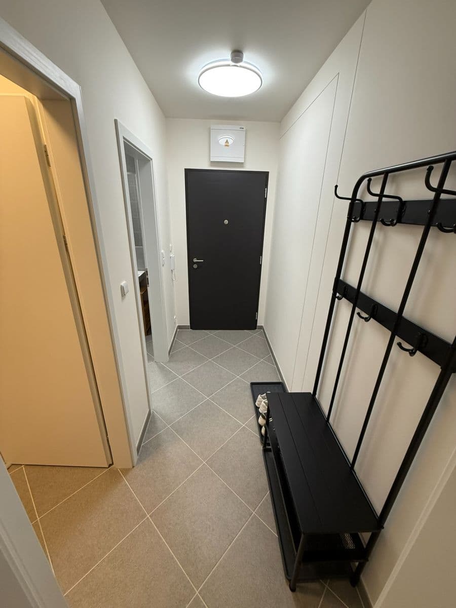1 bedroom with open-plan kitchen flat to rent, 42 m², Thomasova, Prague, Prague 1 bedroom with open-plan kitchen flat to rent, 42 m², Thomasova, Prague, Prague