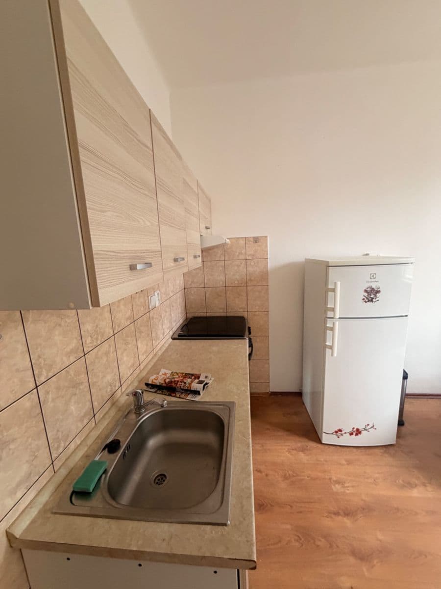 1 bedroom with open-plan kitchen flat to rent, 42 m², Ke Krči, Prague, Prague 1 bedroom with open-plan kitchen flat to rent, 42 m², Ke Krči, Prague, Prague