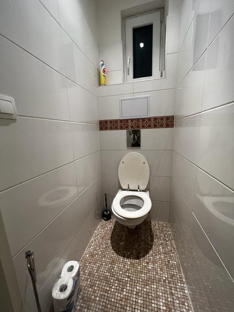 1 bedroom with open-plan kitchen flat to rent, 52 m², Heleny Malířové, Prague, Prague 1 bedroom with open-plan kitchen flat to rent, 52 m², Heleny Malířové, Prague, Prague