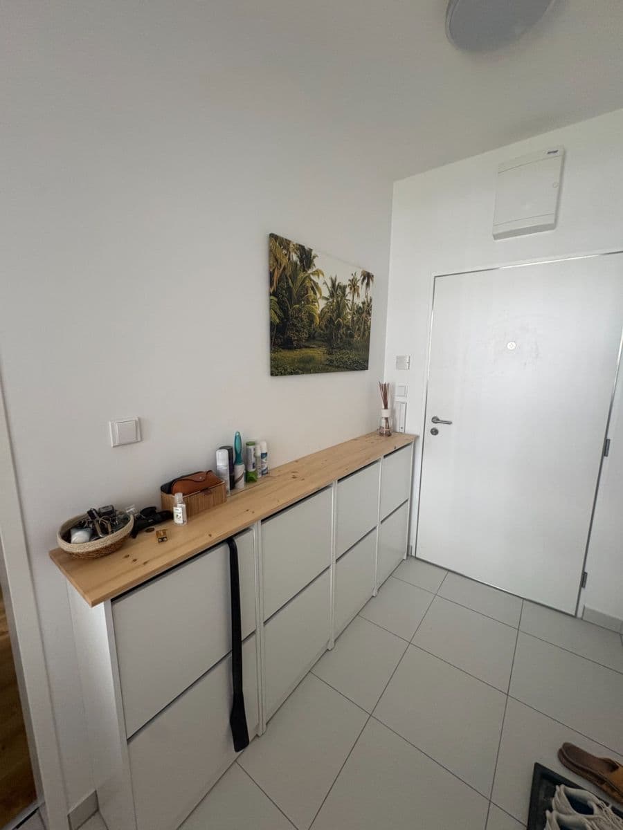 1 bedroom with open-plan kitchen flat to rent, 57 m², Medunova, Prague, Prague 1 bedroom with open-plan kitchen flat to rent, 57 m², Medunova, Prague, Prague