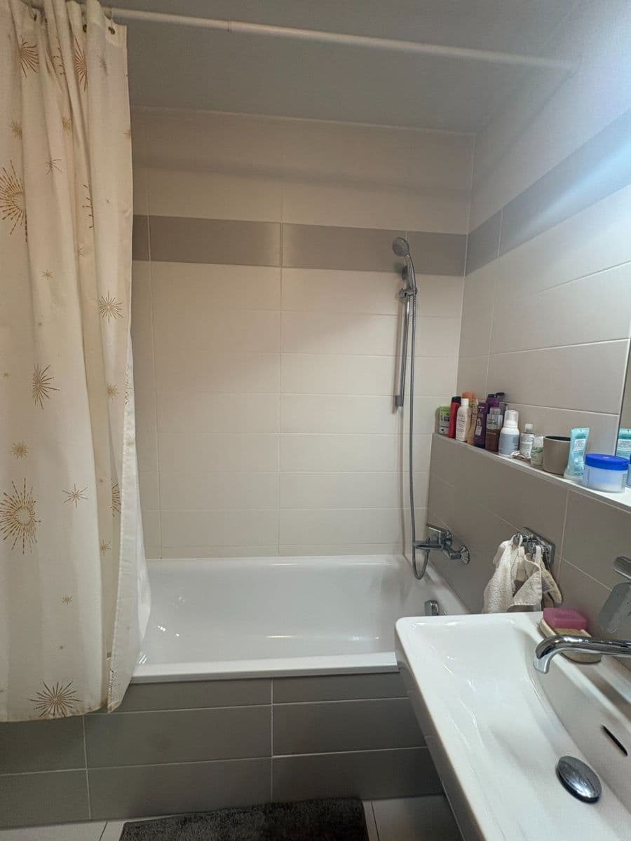 1 bedroom with open-plan kitchen flat to rent, 57 m², Medunova, Prague, Prague 1 bedroom with open-plan kitchen flat to rent, 57 m², Medunova, Prague, Prague