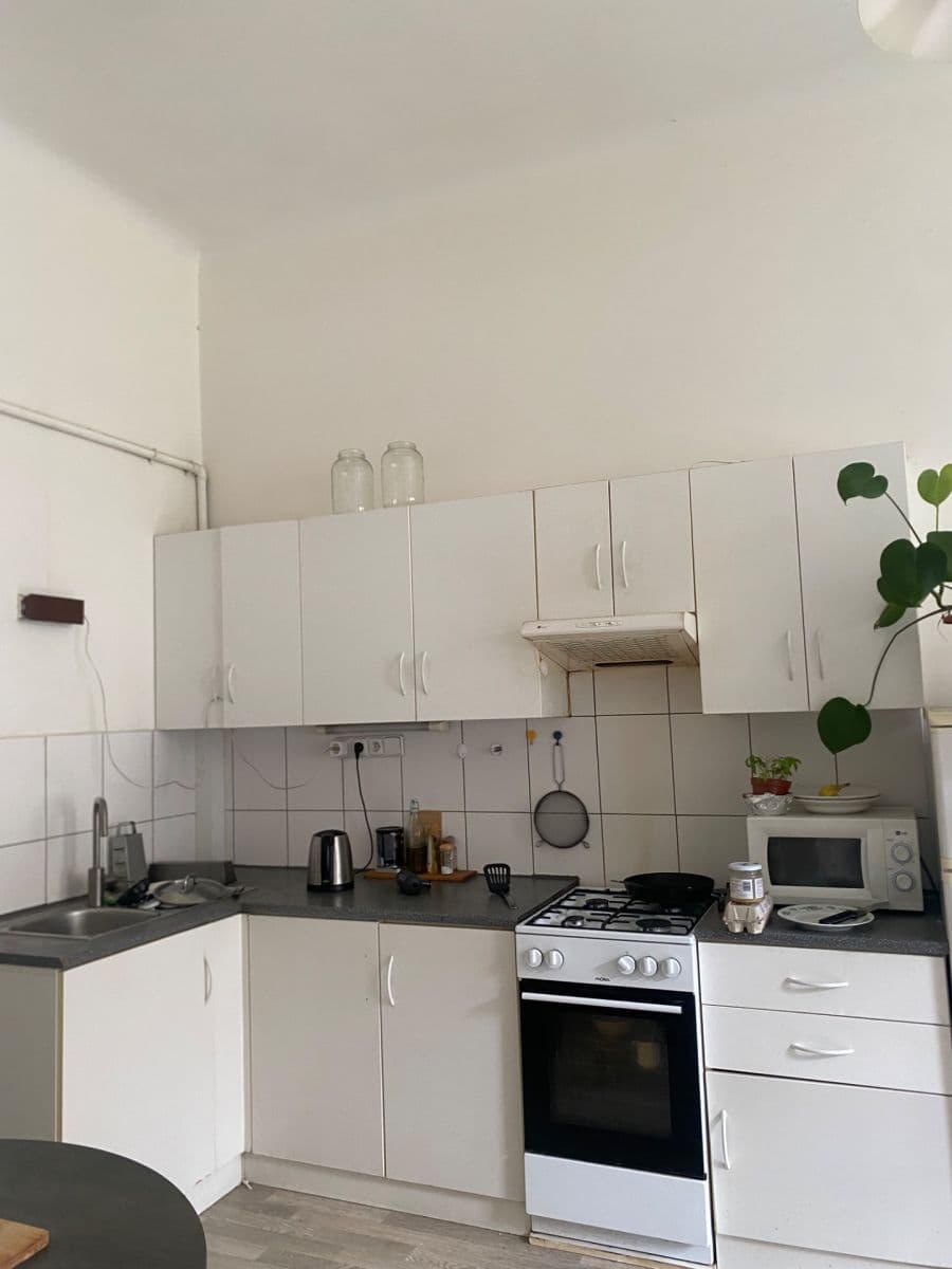 1 bedroom with open-plan kitchen flat to rent, 55 m², Blanická, Prague, Prague 1 bedroom with open-plan kitchen flat to rent, 55 m², Blanická, Prague, Prague