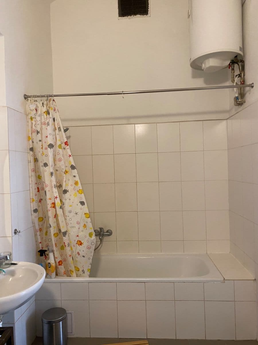1 bedroom with open-plan kitchen flat to rent, 55 m², Blanická, Prague, Prague 1 bedroom with open-plan kitchen flat to rent, 55 m², Blanická, Prague, Prague