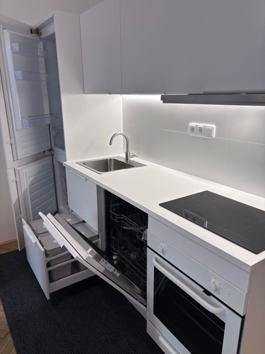 1 bedroom with open-plan kitchen flat to rent, 41 m², Madridská, Prague, Prague 1 bedroom with open-plan kitchen flat to rent, 41 m², Madridská, Prague, Prague