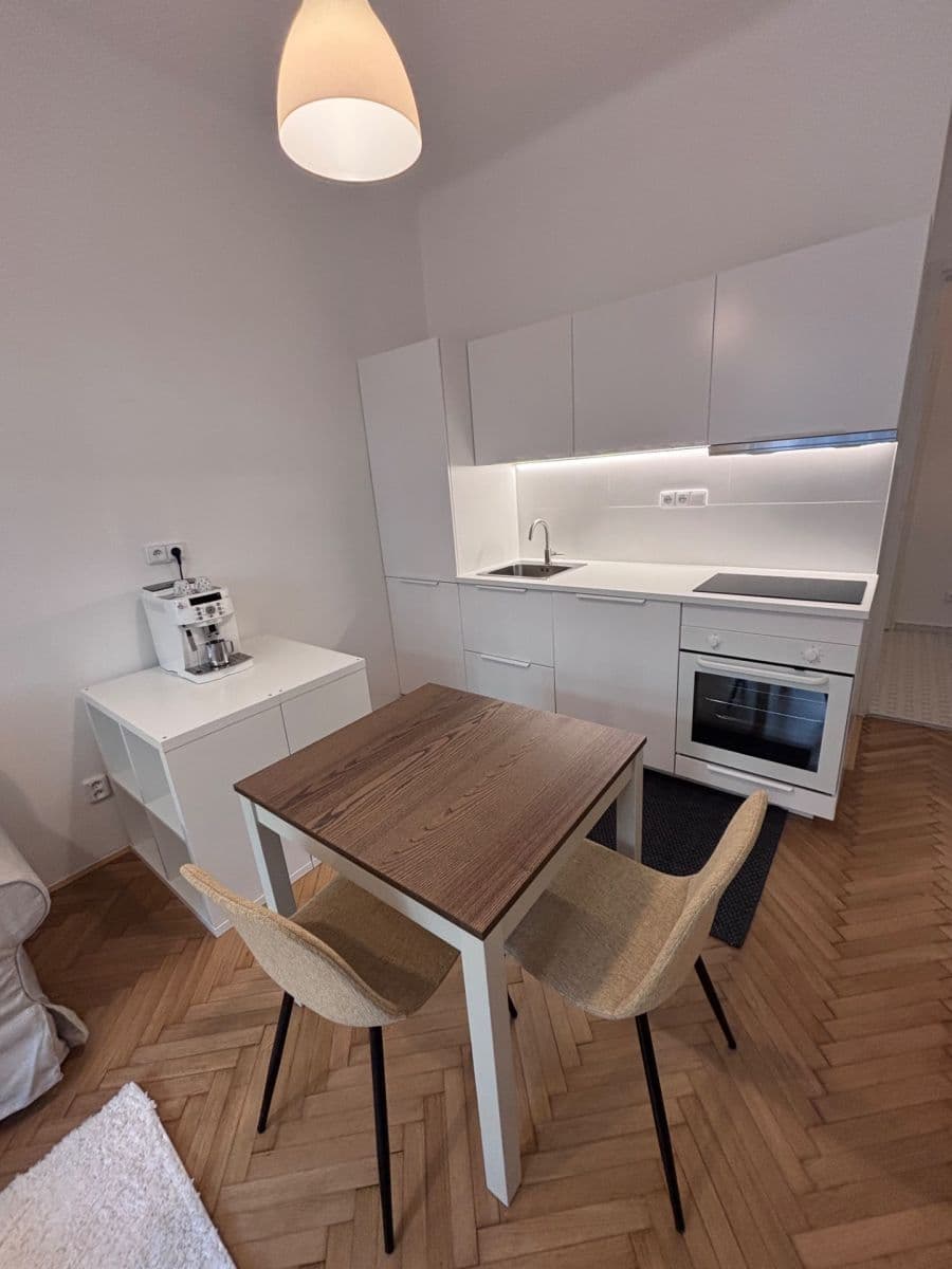 1 bedroom with open-plan kitchen flat to rent, 41 m², Madridská, Prague, Prague 1 bedroom with open-plan kitchen flat to rent, 41 m², Madridská, Prague, Prague