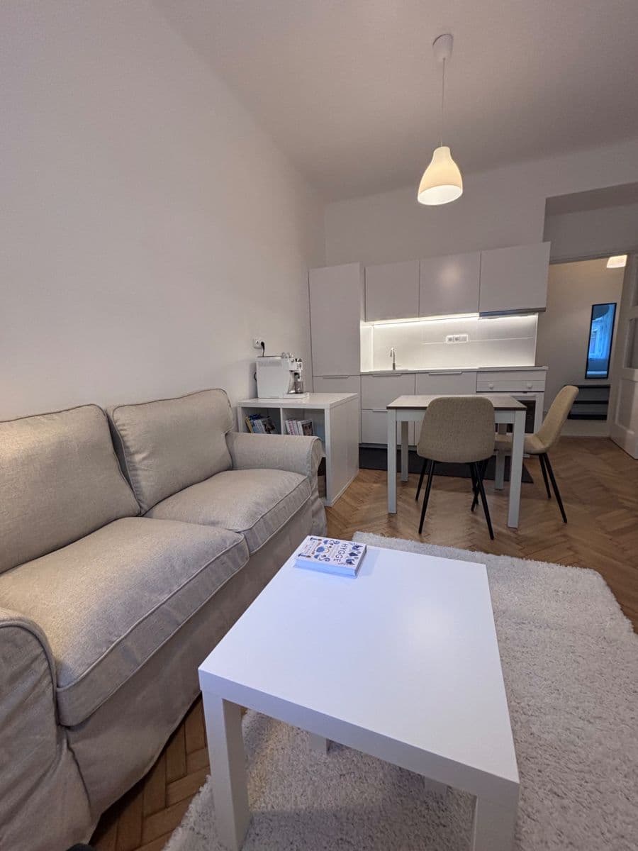 1 bedroom with open-plan kitchen flat to rent, 41 m², Madridská, Prague, Prague 1 bedroom with open-plan kitchen flat to rent, 41 m², Madridská, Prague, Prague