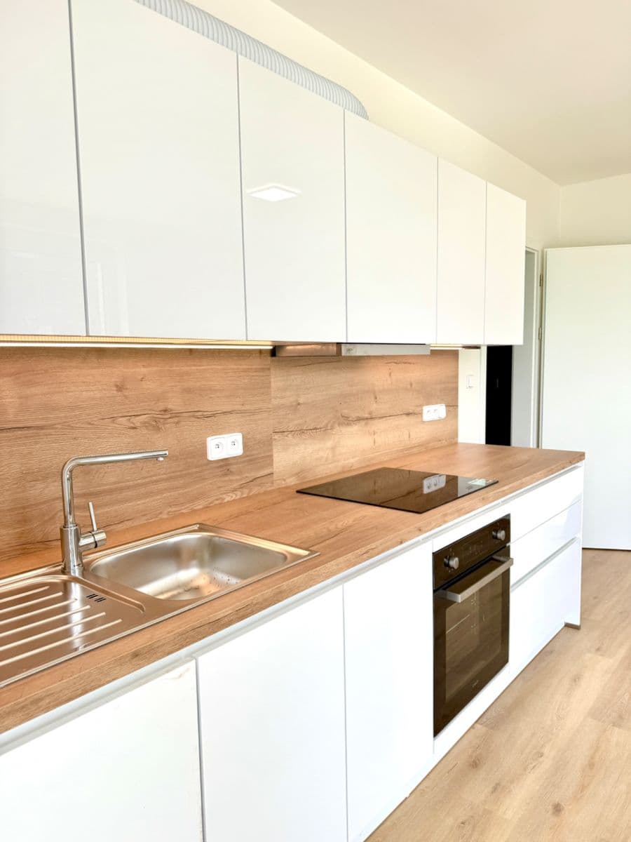 1 bedroom with open-plan kitchen flat to rent, 50 m², Pod Harfou, Prague, Prague 1 bedroom with open-plan kitchen flat to rent, 50 m², Pod Harfou, Prague, Prague