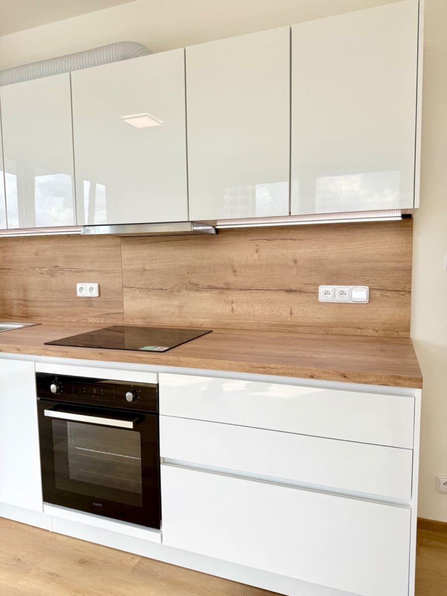 1 bedroom with open-plan kitchen flat to rent, 50 m², Pod Harfou, Prague, Prague 1 bedroom with open-plan kitchen flat to rent, 50 m², Pod Harfou, Prague, Prague