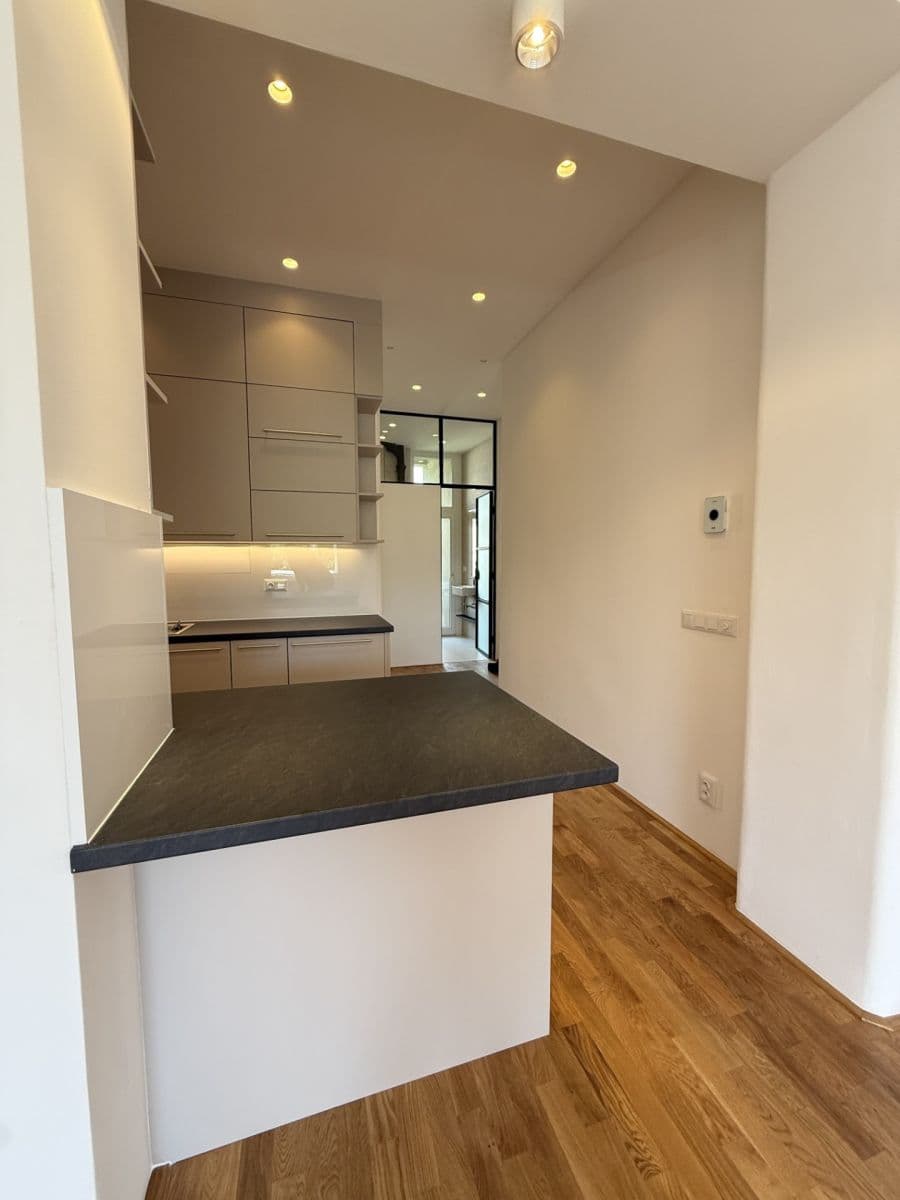 1 bedroom with open-plan kitchen flat to rent, 55 m², Vodárenská, Prague, Prague 1 bedroom with open-plan kitchen flat to rent, 55 m², Vodárenská, Prague, Prague