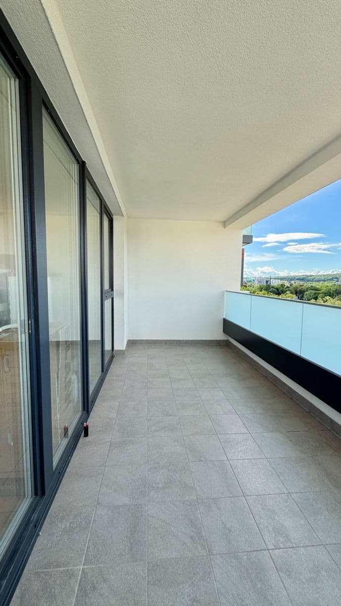 2 bedroom with open-plan kitchen flat to rent, 90 m², Pod Harfou, Prague, Prague 2 bedroom with open-plan kitchen flat to rent, 90 m², Pod Harfou, Prague, Prague
