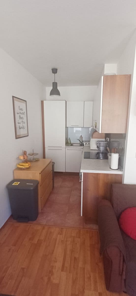 flat to rent, 60 m², Ke Stírce, Prague, Prague flat to rent, 60 m², Ke Stírce, Prague, Prague