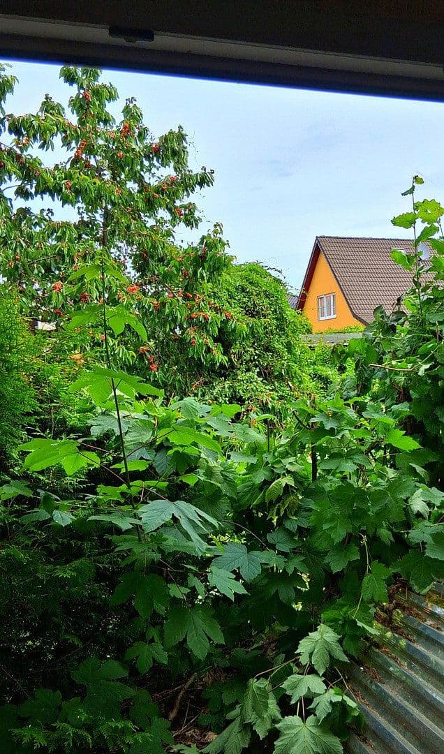 house for sale, 100 m², Berlin Mahlsdorf, Berlin house for sale, 100 m², Berlin Mahlsdorf, Berlin