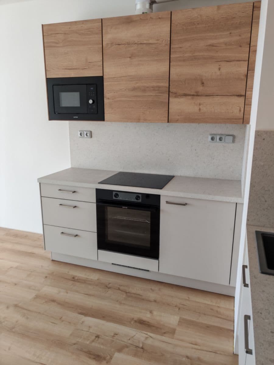 1 bedroom with open-plan kitchen flat to rent, 44 m², Honzíkova, Prague, Prague 1 bedroom with open-plan kitchen flat to rent, 44 m², Honzíkova, Prague, Prague