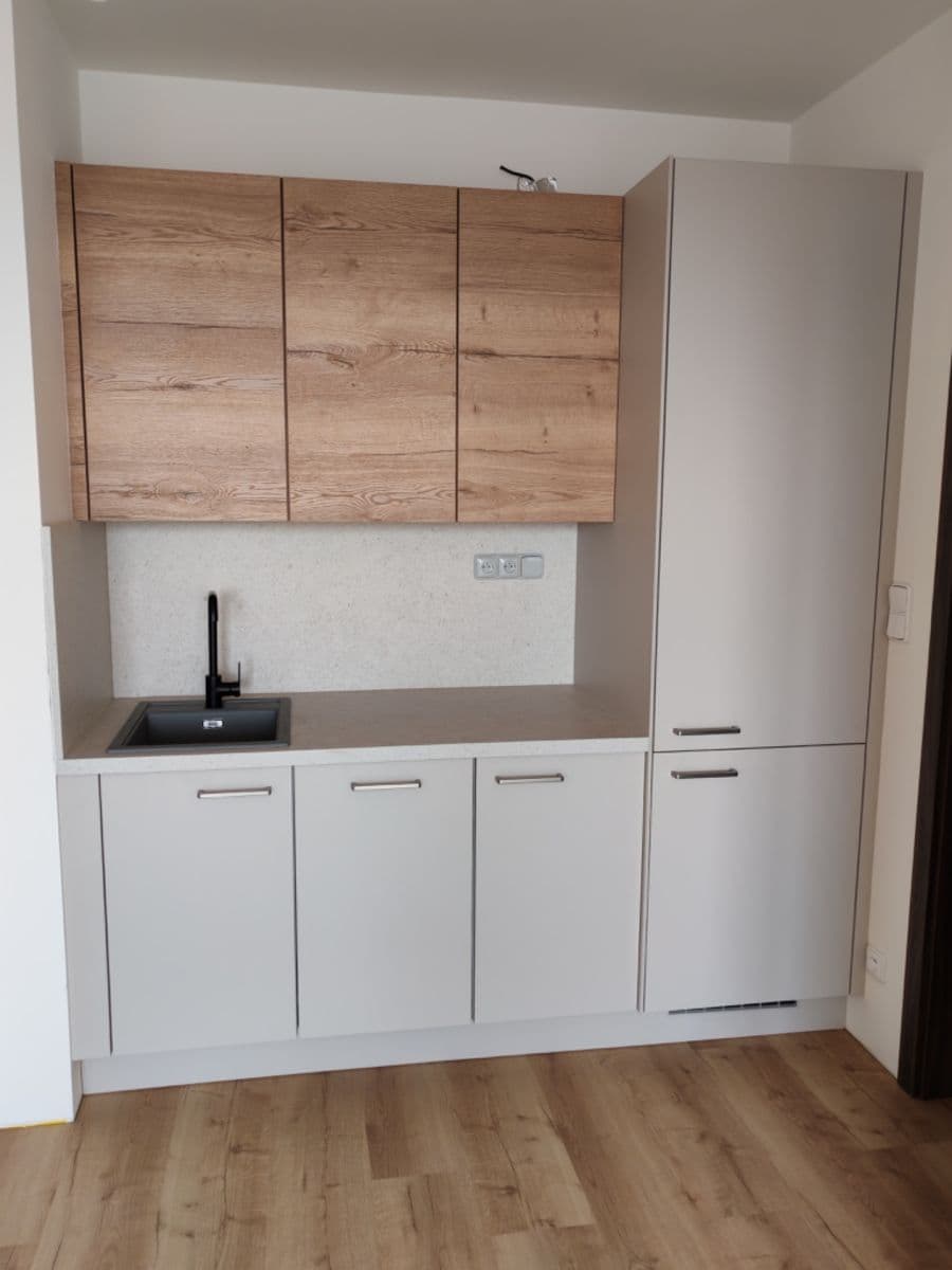 1 bedroom with open-plan kitchen flat to rent, 44 m², Honzíkova, Prague, Prague 1 bedroom with open-plan kitchen flat to rent, 44 m², Honzíkova, Prague, Prague