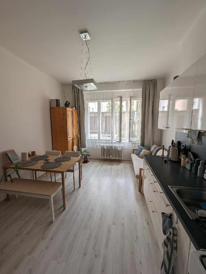 1 bedroom with open-plan kitchen flat for sale, 44 m², Veletržní, Prague, Prague 1 bedroom with open-plan kitchen flat for sale, 44 m², Veletržní, Prague, Prague