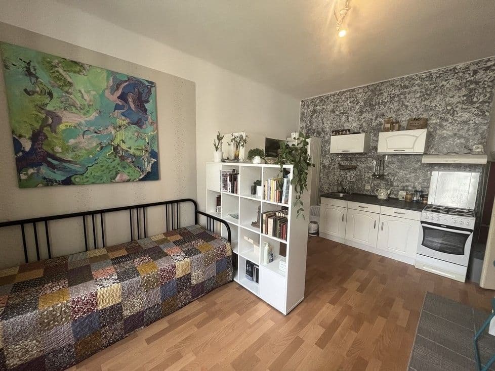 Small studio flat to rent, 27 m², Oblouková, Prague, Prague Small studio flat to rent, 27 m², Oblouková, Prague, Prague