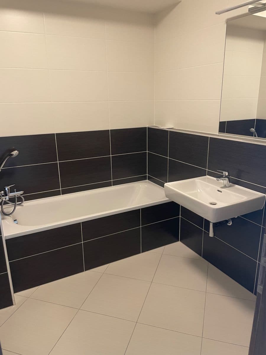 1 bedroom with open-plan kitchen flat to rent, 52 m², Ondrákové, Prague, Prague 1 bedroom with open-plan kitchen flat to rent, 52 m², Ondrákové, Prague, Prague