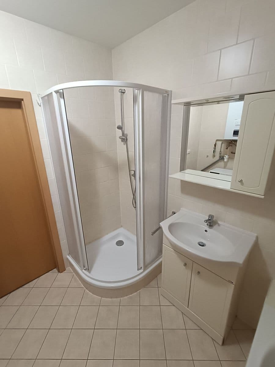 2 bedroom with open-plan kitchen flat to rent, 73 m², Radyňská, Plzeň, Plzeňský Region 2 bedroom with open-plan kitchen flat to rent, 73 m², Radyňská, Plzeň, Plzeňský Region
