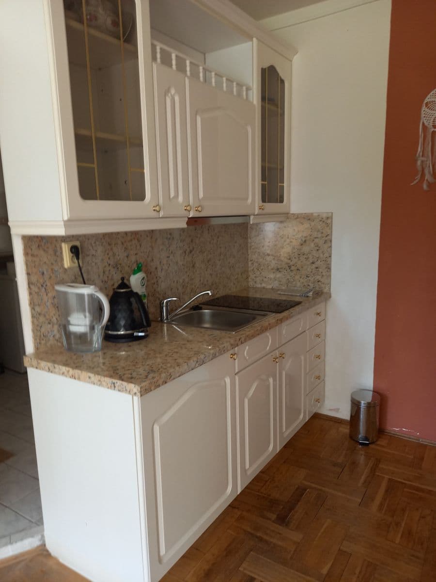 1 bedroom with open-plan kitchen flat to rent, 35 m², Murgašova, Prague, Prague 1 bedroom with open-plan kitchen flat to rent, 35 m², Murgašova, Prague, Prague