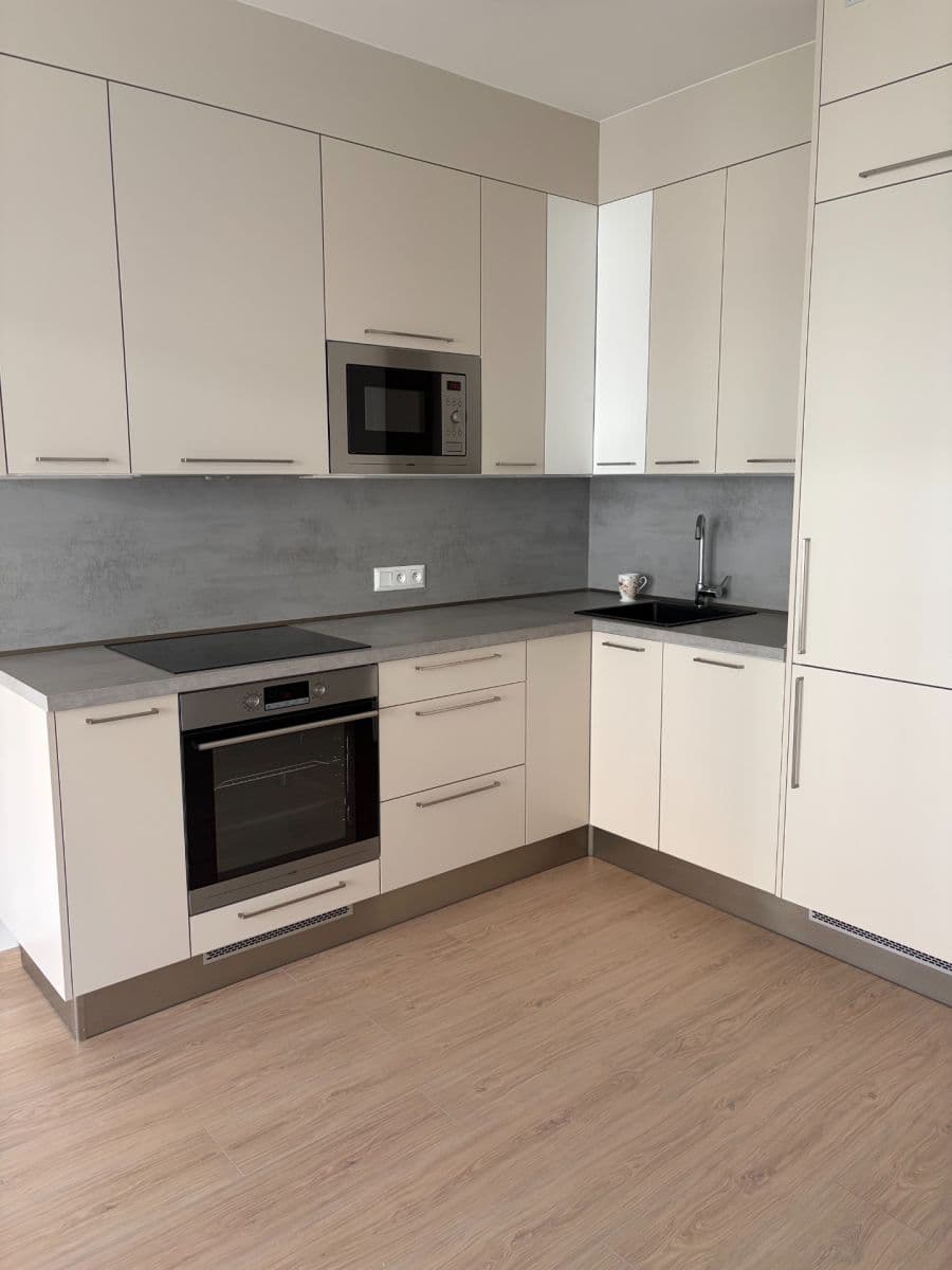 1 bedroom with open-plan kitchen flat to rent, 43 m², Jáchymovská, Prague, Prague 1 bedroom with open-plan kitchen flat to rent, 43 m², Jáchymovská, Prague, Prague