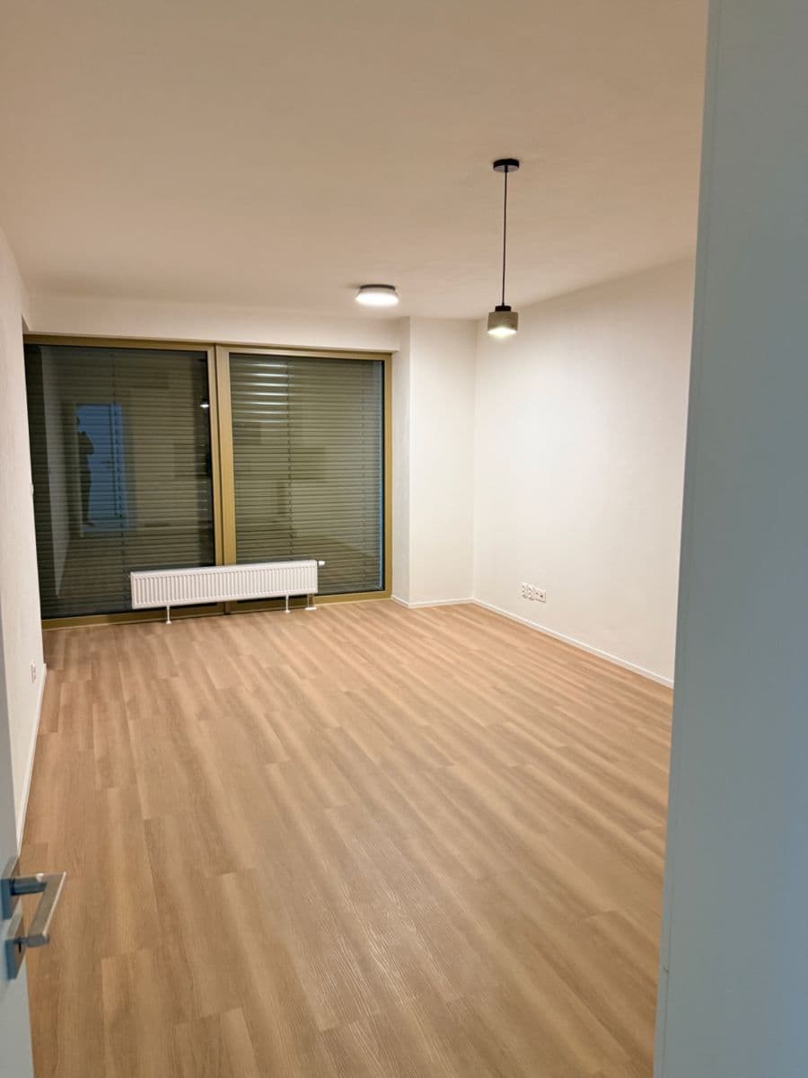 1 bedroom with open-plan kitchen flat to rent, 66 m², Zahradní, Plzeň, Plzeňský Region 1 bedroom with open-plan kitchen flat to rent, 66 m², Zahradní, Plzeň, Plzeňský Region