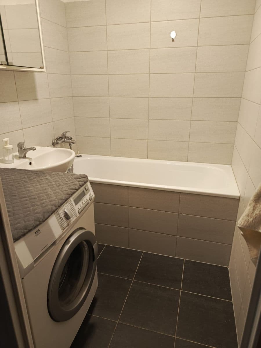 3 bedroom with open-plan kitchen flat to rent, 104 m², Anderleho, Prague, Prague 3 bedroom with open-plan kitchen flat to rent, 104 m², Anderleho, Prague, Prague
