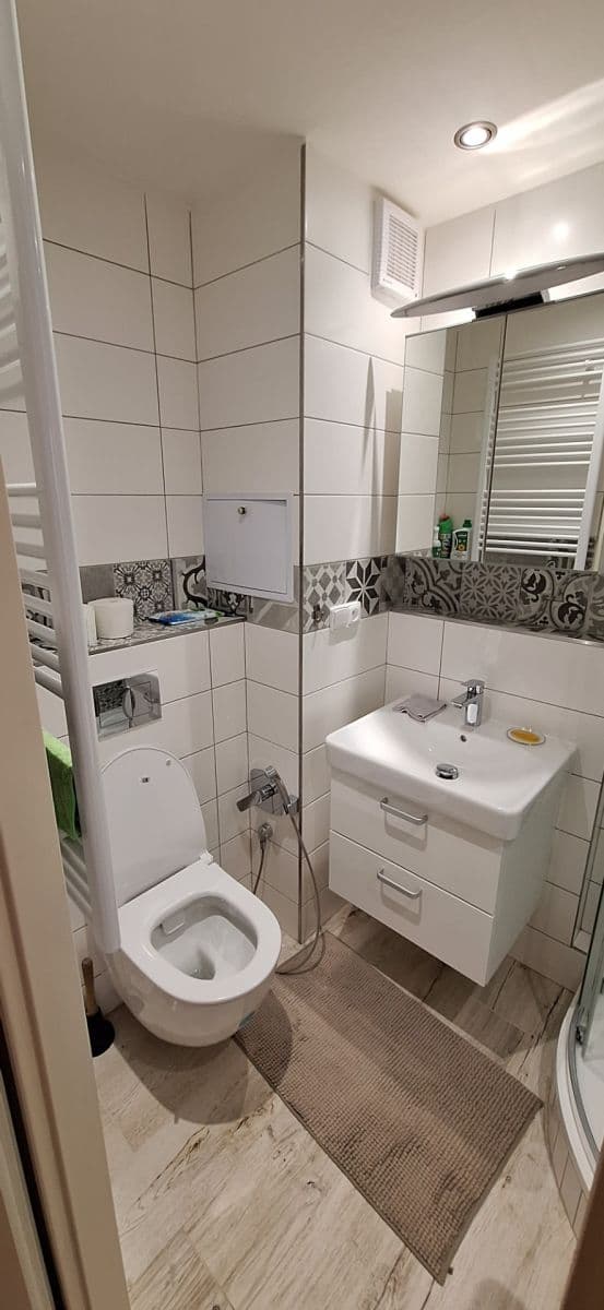 1 bedroom with open-plan kitchen flat to rent, 38 m², Bochovská, Prague, Prague 1 bedroom with open-plan kitchen flat to rent, 38 m², Bochovská, Prague, Prague