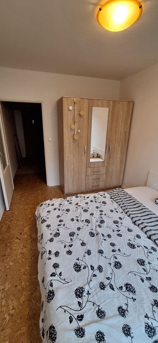 1 bedroom with open-plan kitchen flat to rent, 38 m², Bochovská, Prague, Prague 1 bedroom with open-plan kitchen flat to rent, 38 m², Bochovská, Prague, Prague