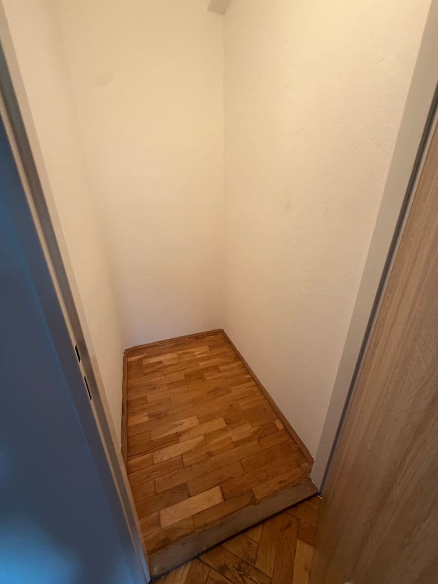 1 bedroom with open-plan kitchen flat to rent, 65 m², Na Luzích, Prague, Prague 1 bedroom with open-plan kitchen flat to rent, 65 m², Na Luzích, Prague, Prague