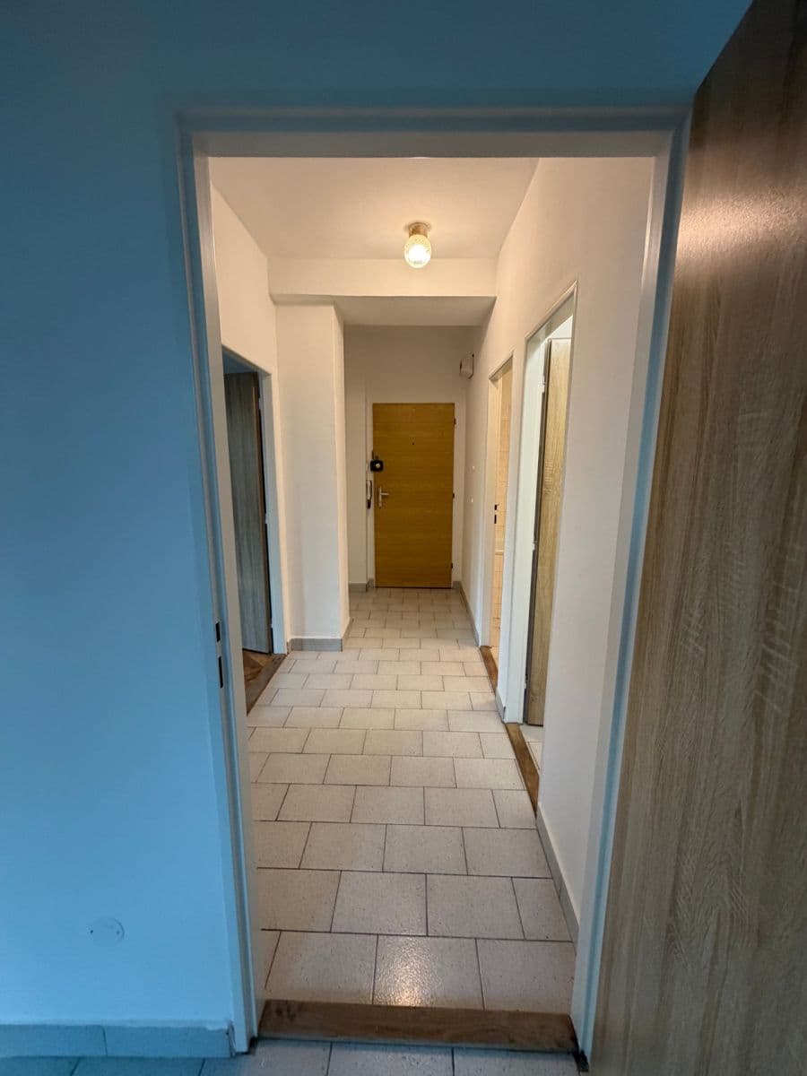 1 bedroom with open-plan kitchen flat to rent, 65 m², Na Luzích, Prague, Prague 1 bedroom with open-plan kitchen flat to rent, 65 m², Na Luzích, Prague, Prague
